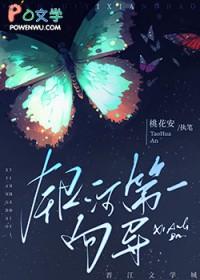 银河第一向导免费阅读全文