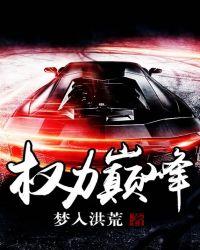 权力巅峰柳擎宇全本免费阅读全文