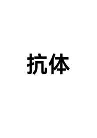 抗体意思