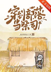 穿越部落公司