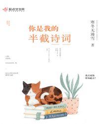 你是我的半截诗意思