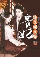 贵妃她又娇又媚讲的什么故事