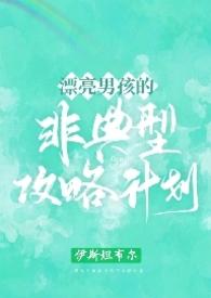 漂亮男孩非典型攻略推荐