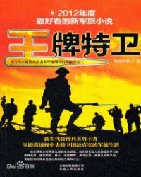 王牌特卫1TXT