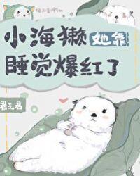 小海獭她靠睡觉爆红了65