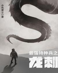 最强特种兵之龙刺续篇