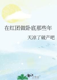 海贼王之红心海贼团