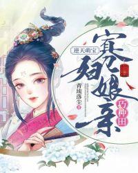 寡妇改嫁
