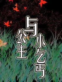 公主小乞丐全剧情