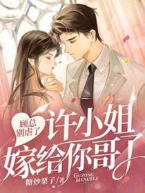 许小姐嫁给你哥了免费阅读