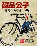 极品公子资料