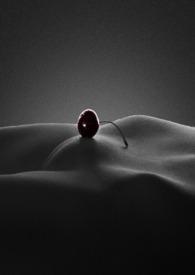 顶风作案下句接什么