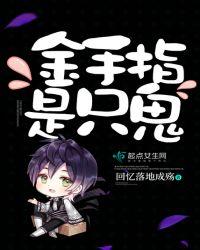 金手指pi