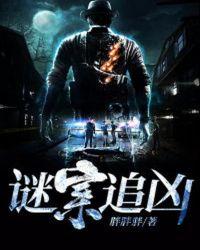 谜案追凶剧情介绍