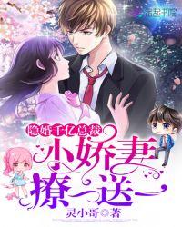 隐婚甜妻总裁