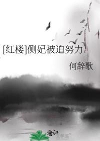 侧妃为后