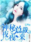 神秘总裁夜夜来免费阅读全文