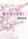 2020锦王爷女尊txt