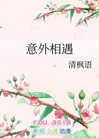 意外相遇动漫