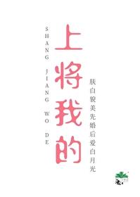 上将我的谁是攻
