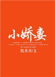 总裁与小娇妻