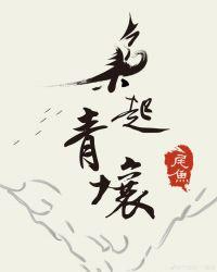 枭起青壤定档