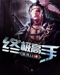 终极高手叶枫免费阅读