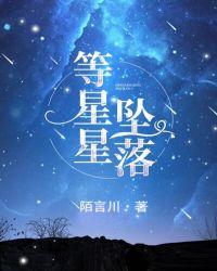 等星星坠落下册