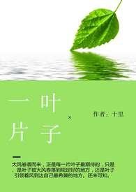 一片叶子书籍