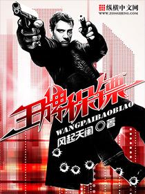 王牌保镖风起天阑