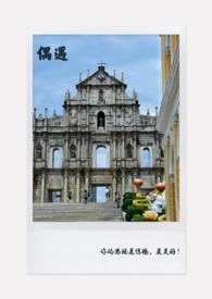 偶遇是啥意思?