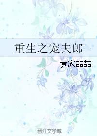 重生之宠夫之路晋江