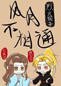 风月不相关主要讲什么