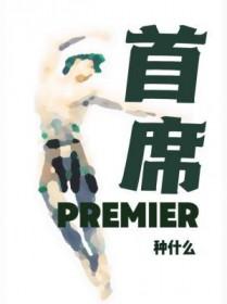 首席资讯战略官