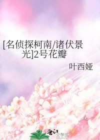 柯南二号boss