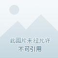 全民领主我的兵种有亿点强悍
