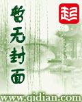 天启记事