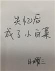 失忆后我成小白菜