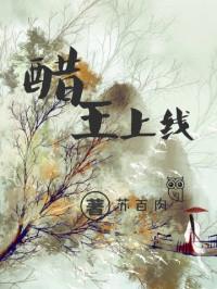 醋王上线温启十二