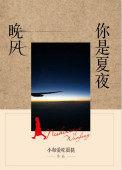 你是夏夜的烟火是什么歌