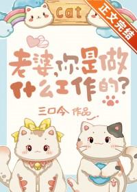 老婆你是做什么工作的全文阅读