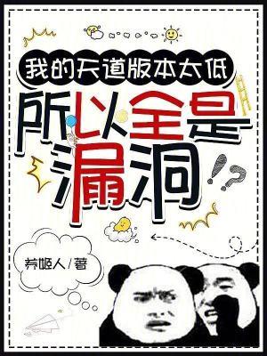 所以全是漏洞全本完结免费