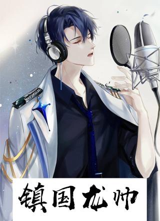 镇国龙帅全集观看