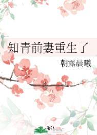 知青前妻重生了晋江