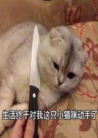 旧爱新欢 txt