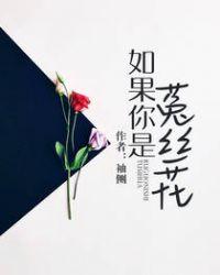 如果你是菟丝花介绍
