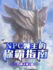重生npc大领主