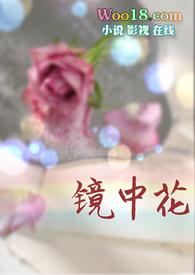 镜中花笔趣阁