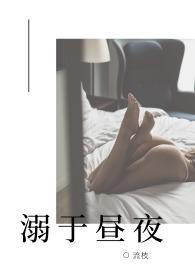 溺于昼夜指南