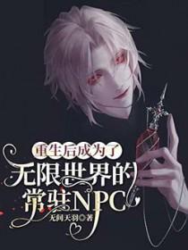 重生后成为了无限世界的常驻NPC是主攻文还是主受文